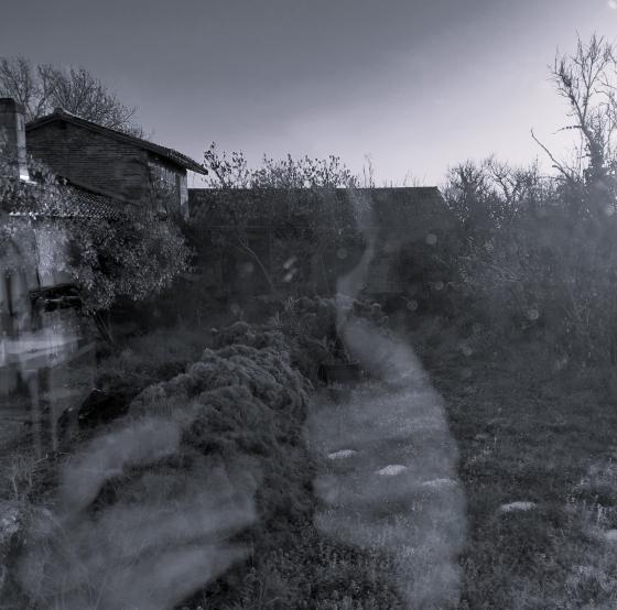 Photo de Natalie Zimmermann